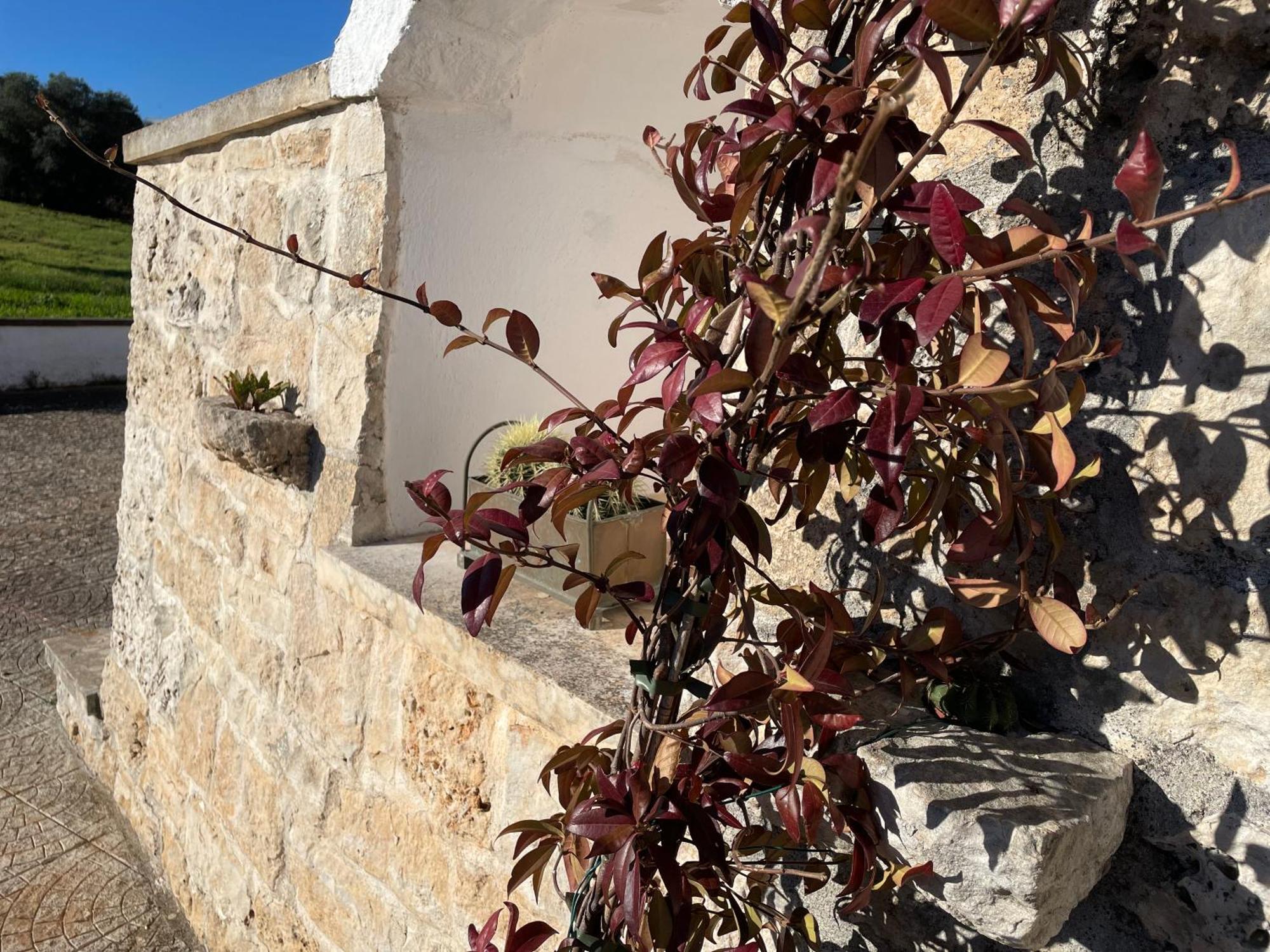 Trulli Del Sole Villa Martina Franca Bagian luar foto